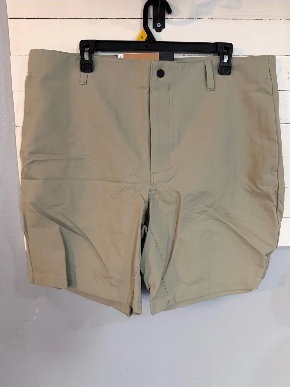 The North Face Men's Light green Flat Front Shorts